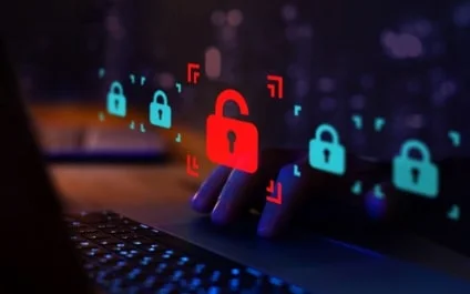 Was Your Information Compromised From The National Public Data Breach?