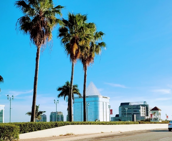 sideimg-IT-Support-Palm-Beach-Gardens
